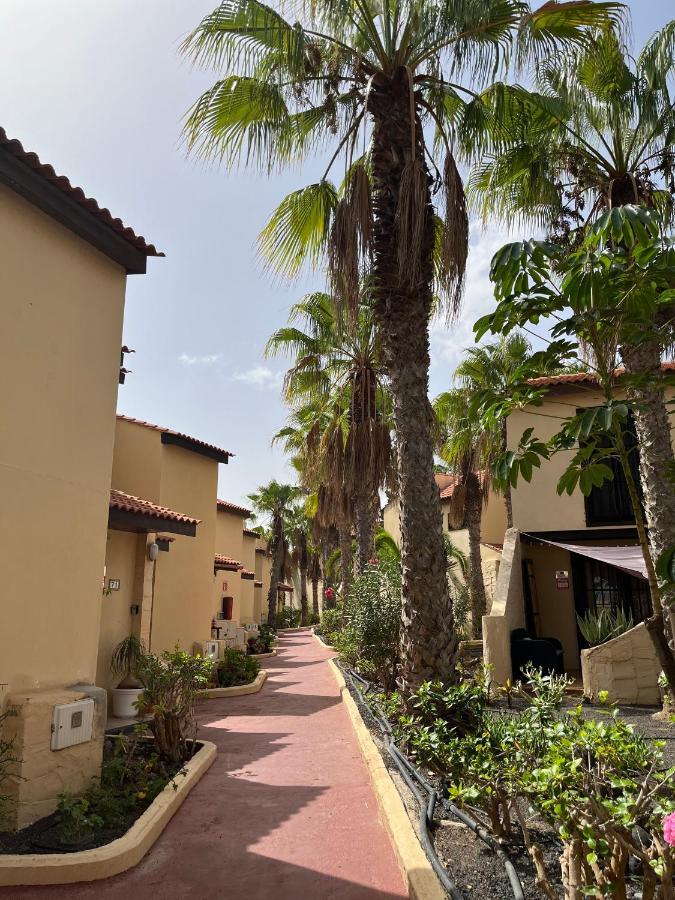 Parque Holandes Surf & Chill Bungalow 69, Quiet Green Oasis With Community Swimmingpool מראה חיצוני תמונה