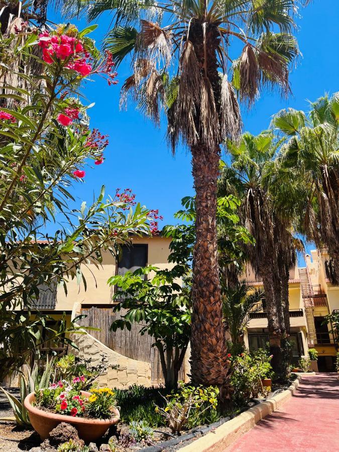 Parque Holandes Surf & Chill Bungalow 69, Quiet Green Oasis With Community Swimmingpool מראה חיצוני תמונה